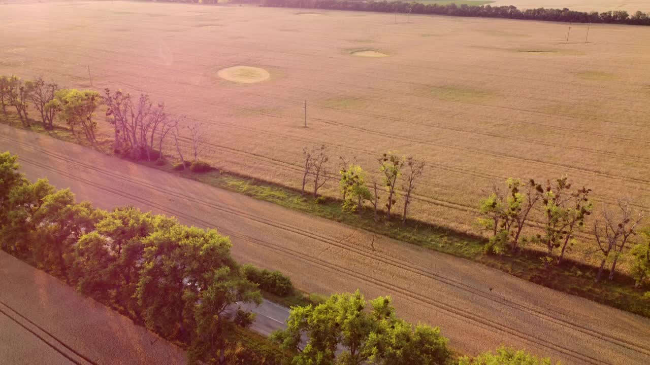 黎明日落时，无人机飞过麦田之间的道路。视频素材