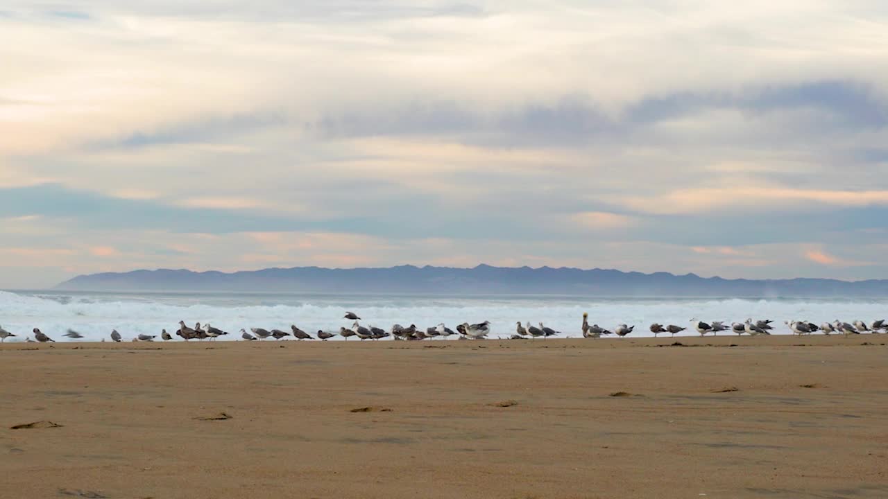 海滩上的夕阳和鸟群。空旷的沙滩，绿松石色的海水，多云的天空，美丽而宁静的景象视频素材