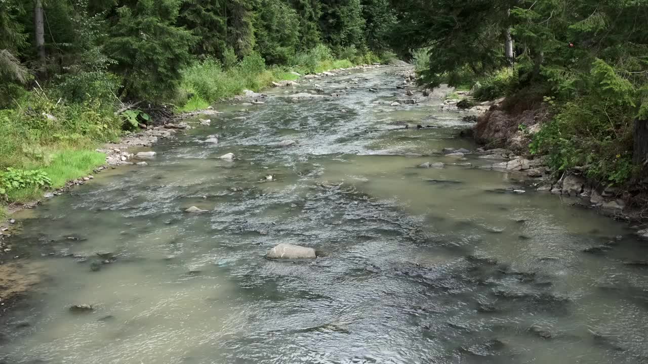 河水流经森林视频素材