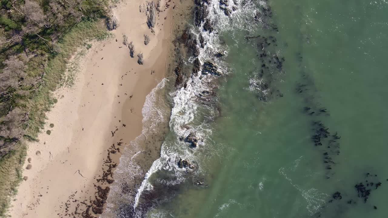 海滩鸟眼视频素材