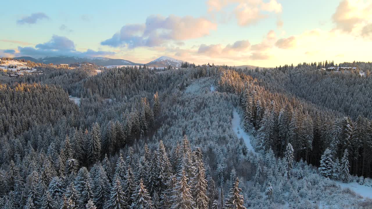 空中冬季景观与云杉树的雪覆盖森林在寒冷的山在晚上。视频素材