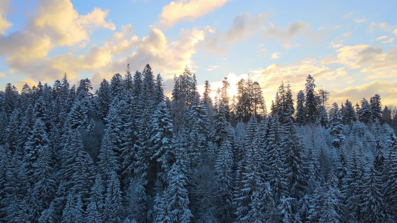 空中冬季景观与云杉树的雪覆盖森林在寒冷的山在晚上。视频素材