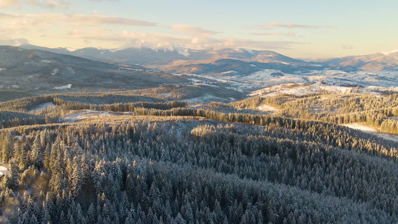 空中冬季景观与云杉树的雪覆盖森林在寒冷的山在晚上。视频素材