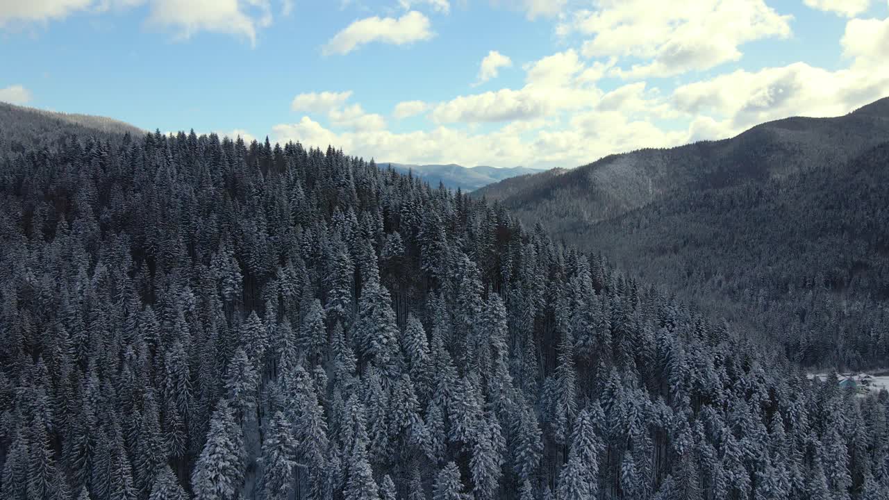 空中冬季景观与云杉树的雪覆盖森林在寒冷的山。视频素材