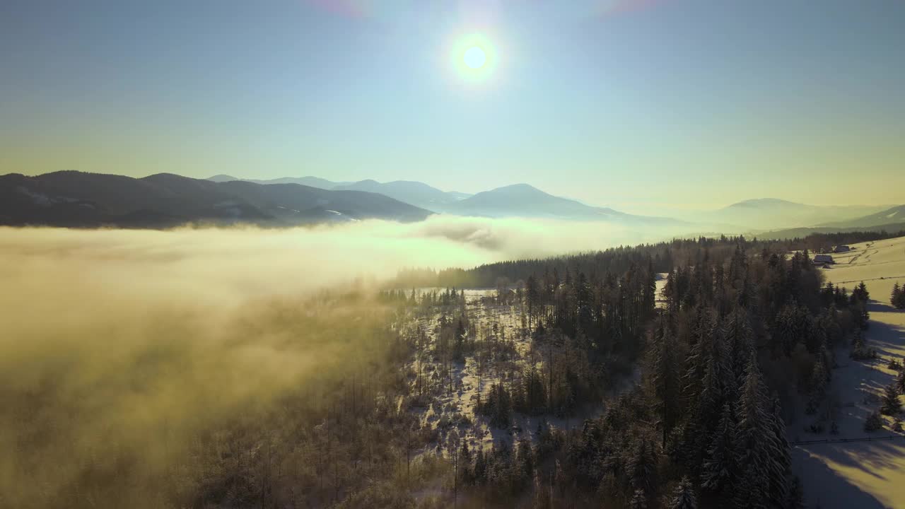 令人惊叹的冬季景观与松树的雪覆盖森林在寒冷的雾山在日出。视频素材