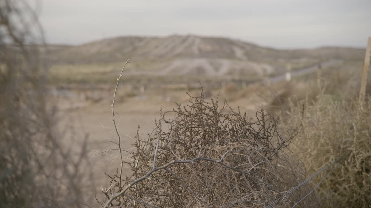 沙漠景观中的灌木、树枝或树枝的闭合角度。小山或山可见，但在bg聚焦。视频素材