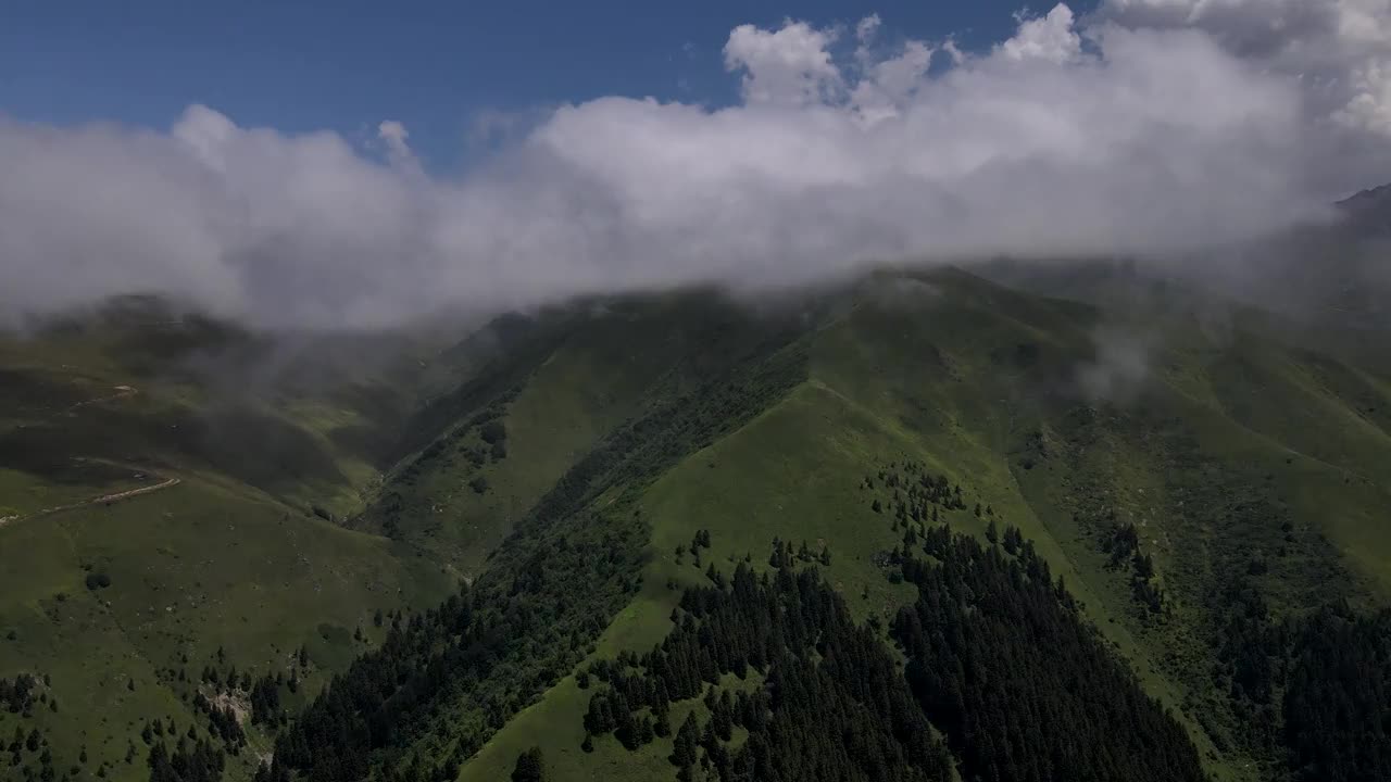 高山草甸视频素材