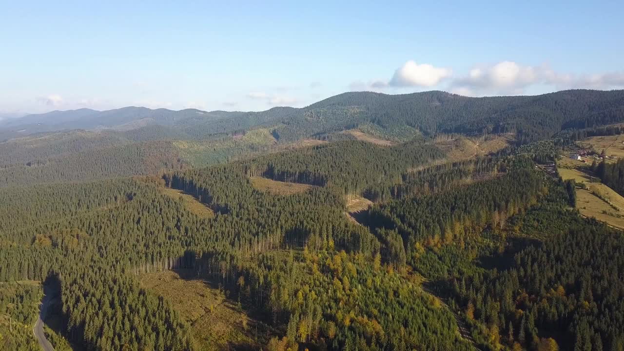 鸟瞰图的山地森林与裸露的森林砍伐地区的树木。视频素材