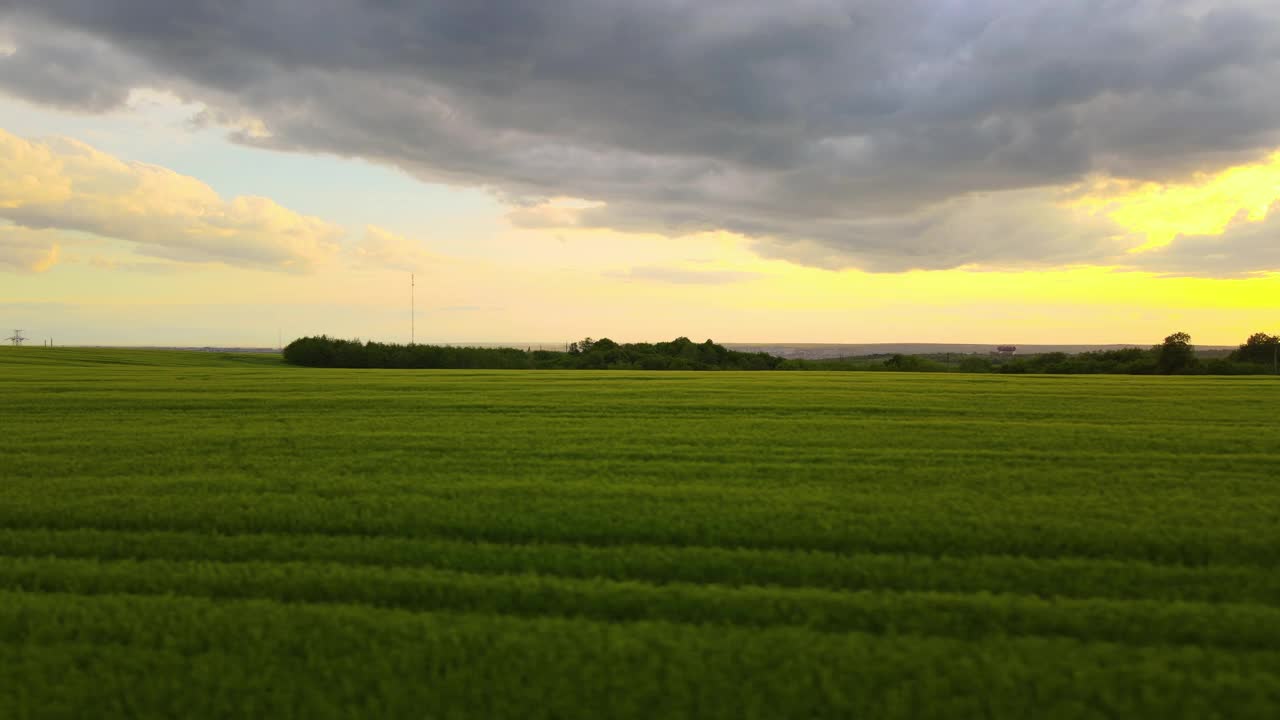 在明亮的夏夜鸟瞰绿色的种植着作物的农田。视频素材