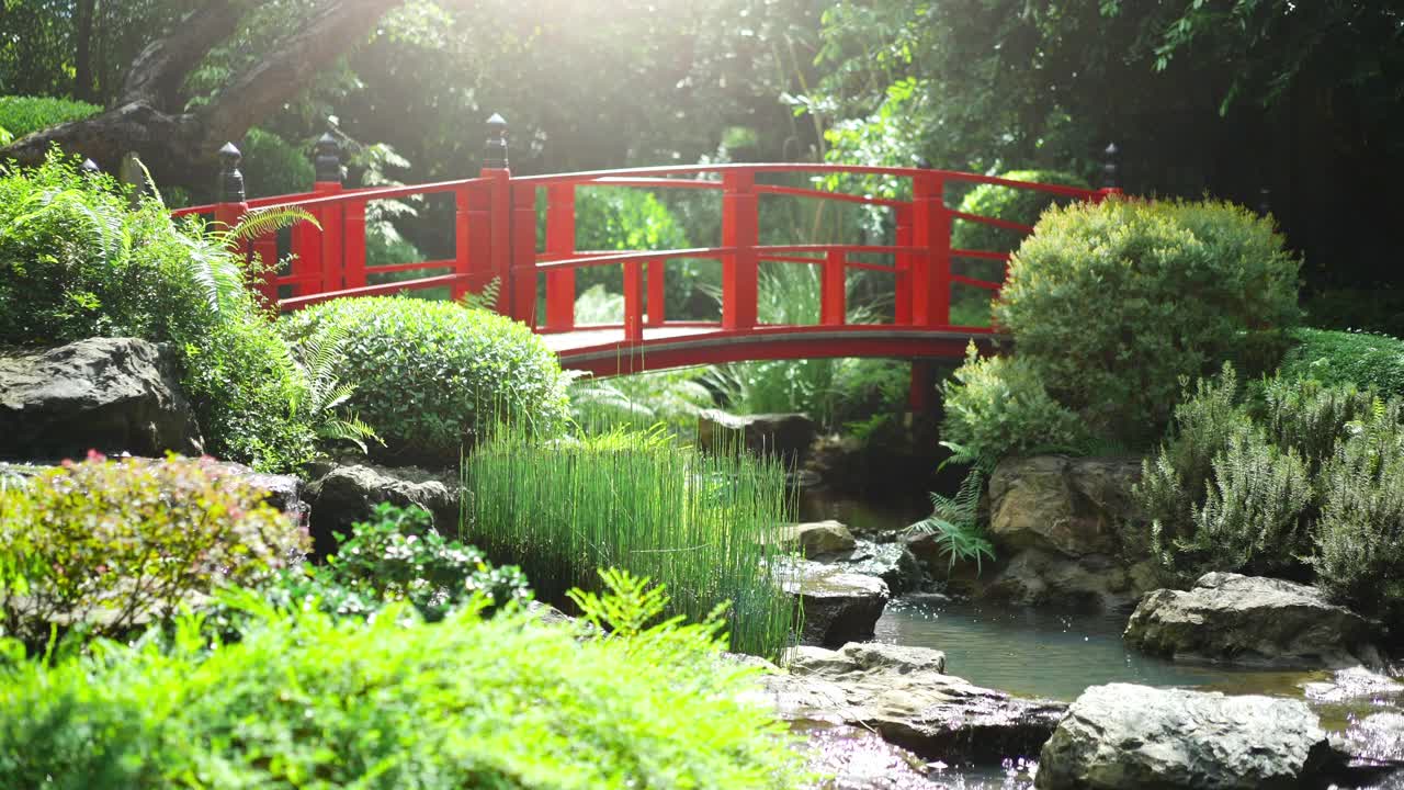 禅宗花园在日本花园视频素材