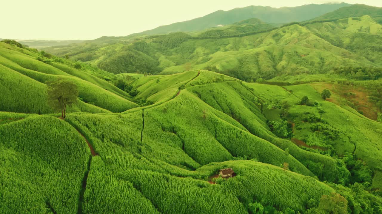 鸟瞰无人机拍摄的流动的雾波在山区热带雨林在晚上，鸟瞰图像在云上惊人的自然背景与云和山峰。视频素材