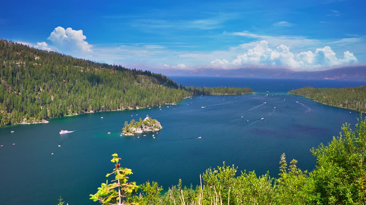 自然背景。湖,冷杉,Foret。视频素材