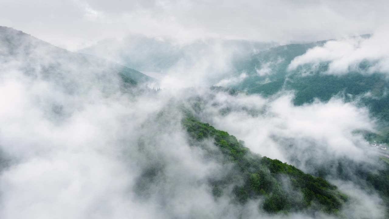 鸟瞰迷雾森林，云朵在山上。无人机拍摄云杉针叶树顶，自然背景镜头在4K视频素材