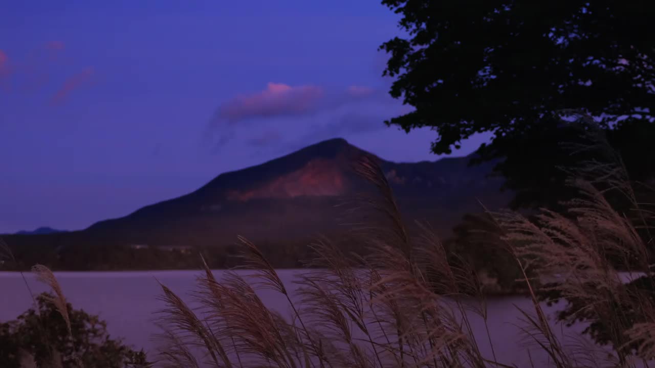 黄昏时分，福岛县万代山、海原湖、芒草视频素材