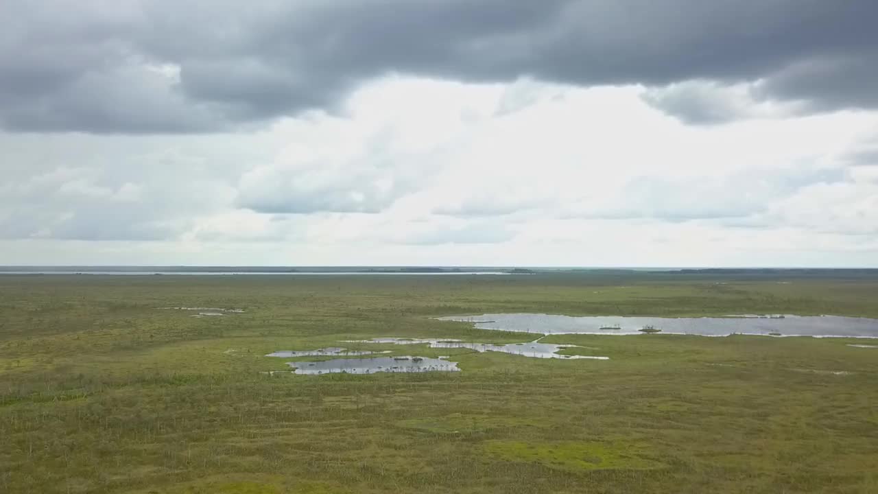 俯视图的沼泽景观。湖沼泽鸟瞰图。环境预订概念。视频素材