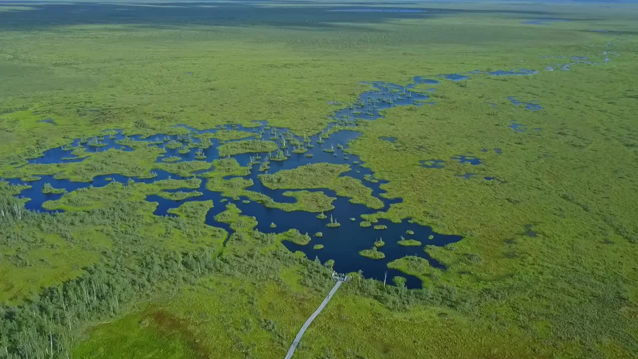 俯视图的沼泽景观。湖沼泽鸟瞰图。环境预订概念。视频素材