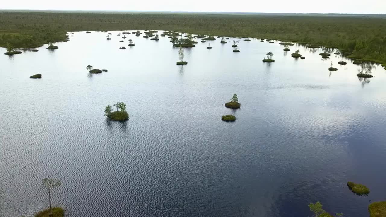 俯视图的沼泽景观。湖沼泽鸟瞰图。环境预订概念。视频素材