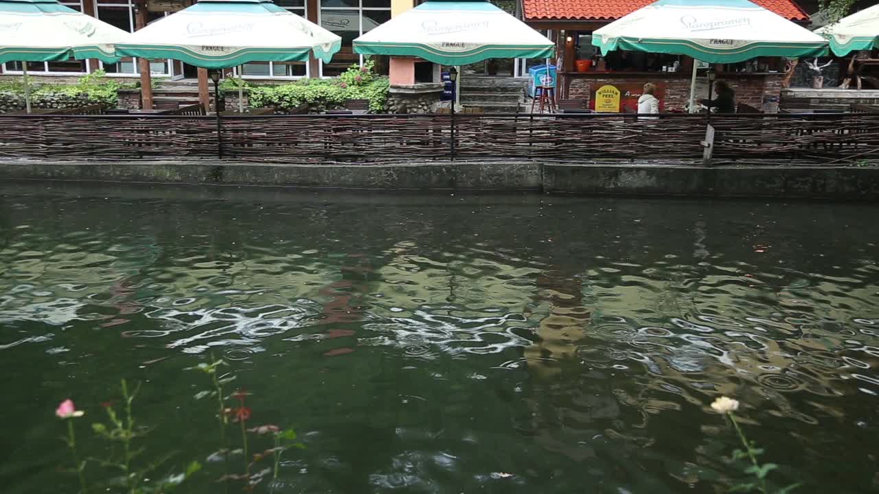 野鸭入湖3视频素材