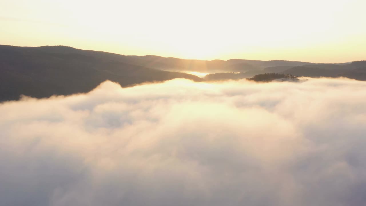 鸟瞰图雾蒙蒙的早晨，秋天的山与云浮动通过松树林树木在日出的光束视频素材