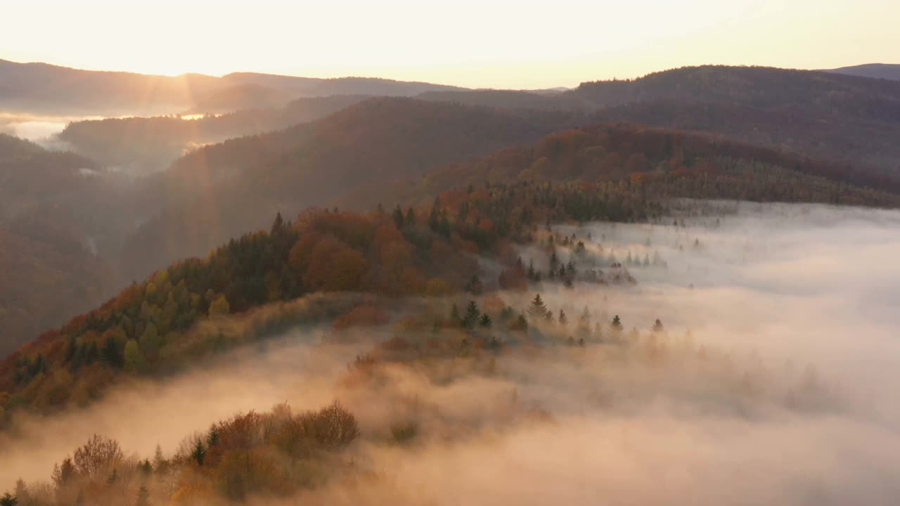 鸟瞰图雾蒙蒙的早晨，秋天的山与云浮动通过松树林树木在日出的光束视频素材