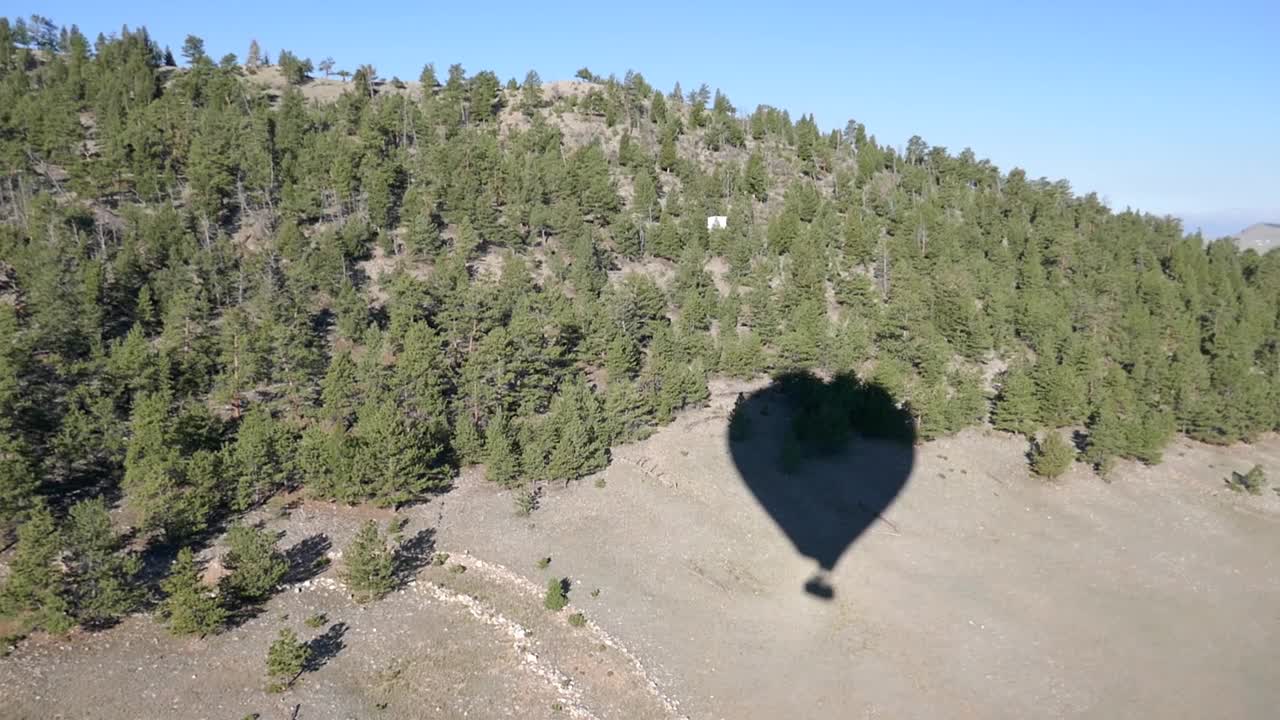 热气球的影子在地面和树下升起视频素材