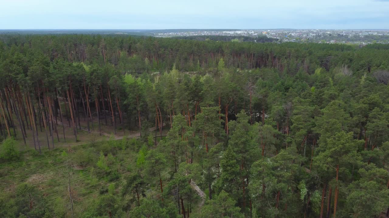 森林湖与陡峭的岩石海岸在春天，鸟瞰图视频素材