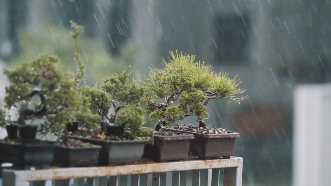 暴雨、极端天气和气候以及全球变暖视频素材