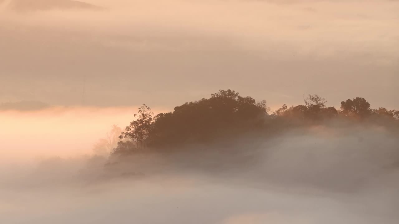 美丽清新的热带雨林和清晨日出时的云朵的绿色自然景观视频素材