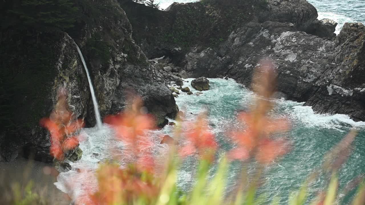 麦克威瀑布和橘花的焦点视频素材