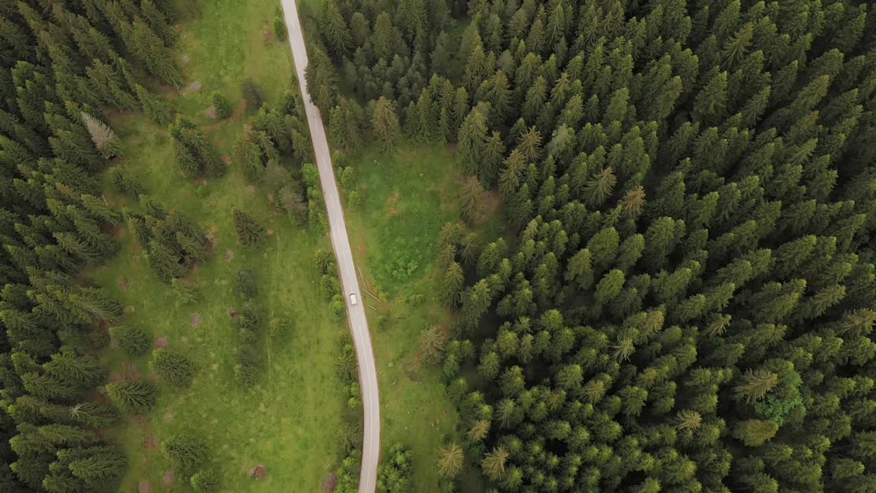 穿越森林的公路旅行视频素材