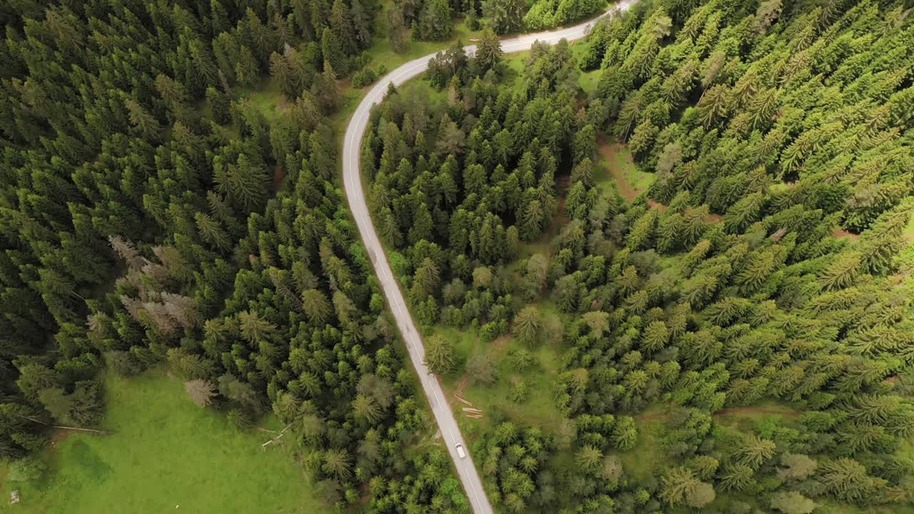 穿越森林的公路旅行视频素材