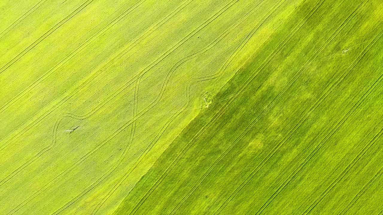 鸟瞰图绿色的农田，在播种季节后新鲜的植被。视频素材