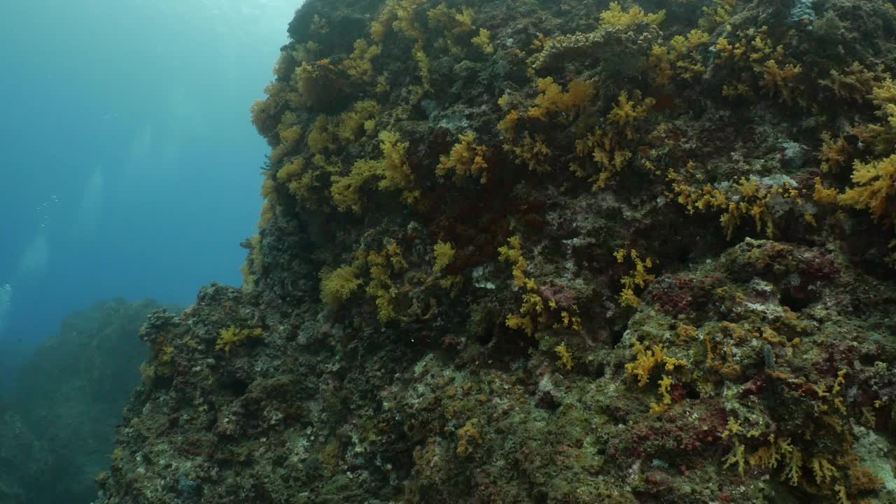 阳光透过海面从蓝天在海底尖峰，台湾视频素材