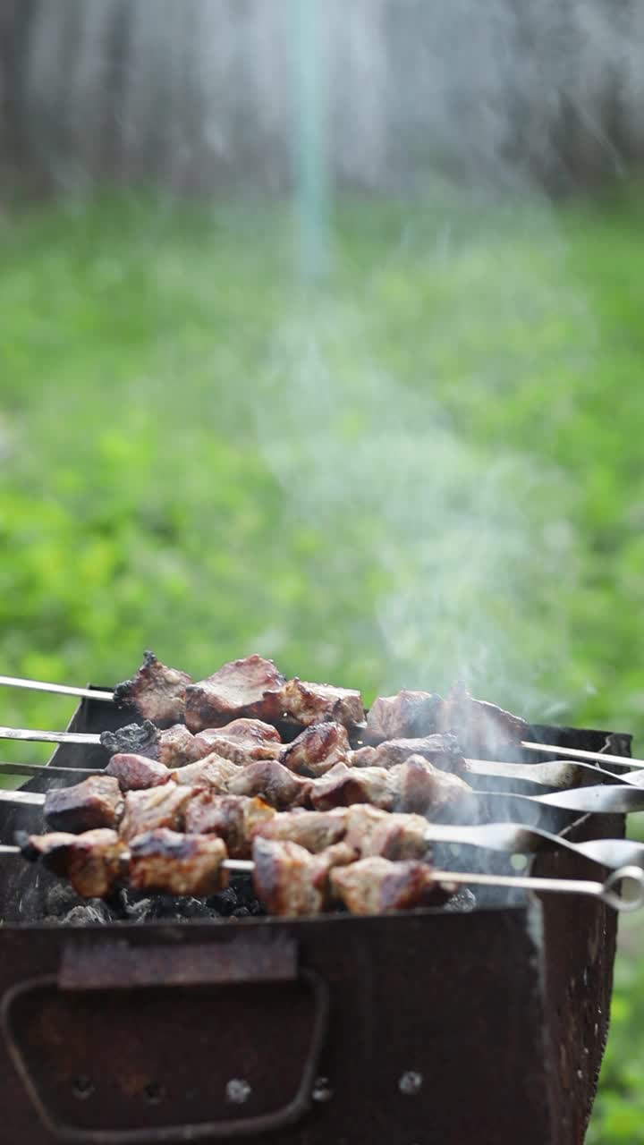 烤肉串是在烤架上油炸的。用芒果做烤肉串。烟从煤里冒出来。野餐的概念。垂直格式视频素材