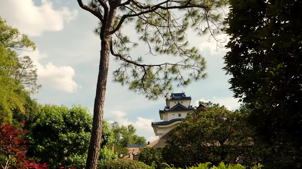 传统元素日本风格的建筑和大树以蓝天为背景。视频素材