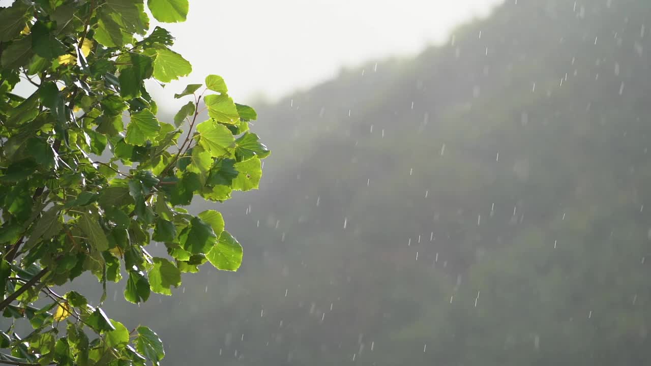 在清晨的阳光下，山间的雨景令人惊叹。视频下载