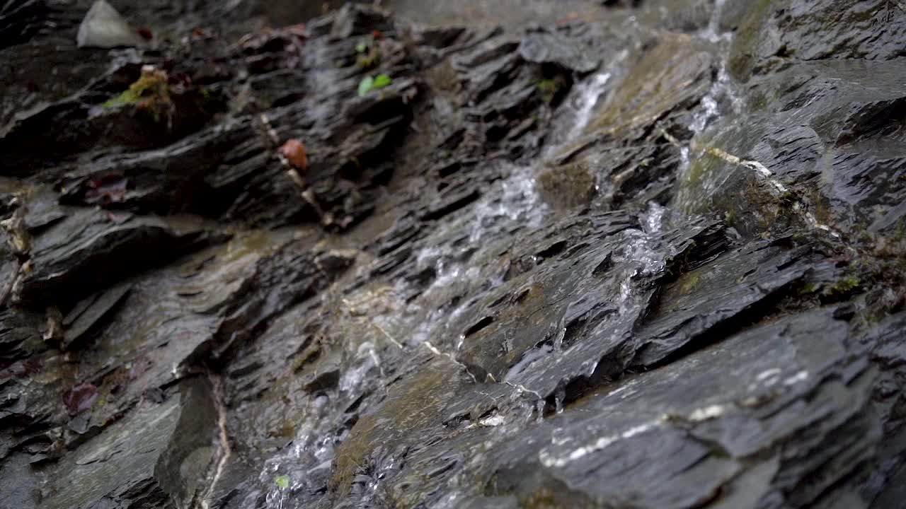 山中的小溪，水流湍急，在森林中的岩石之间流动。视频素材