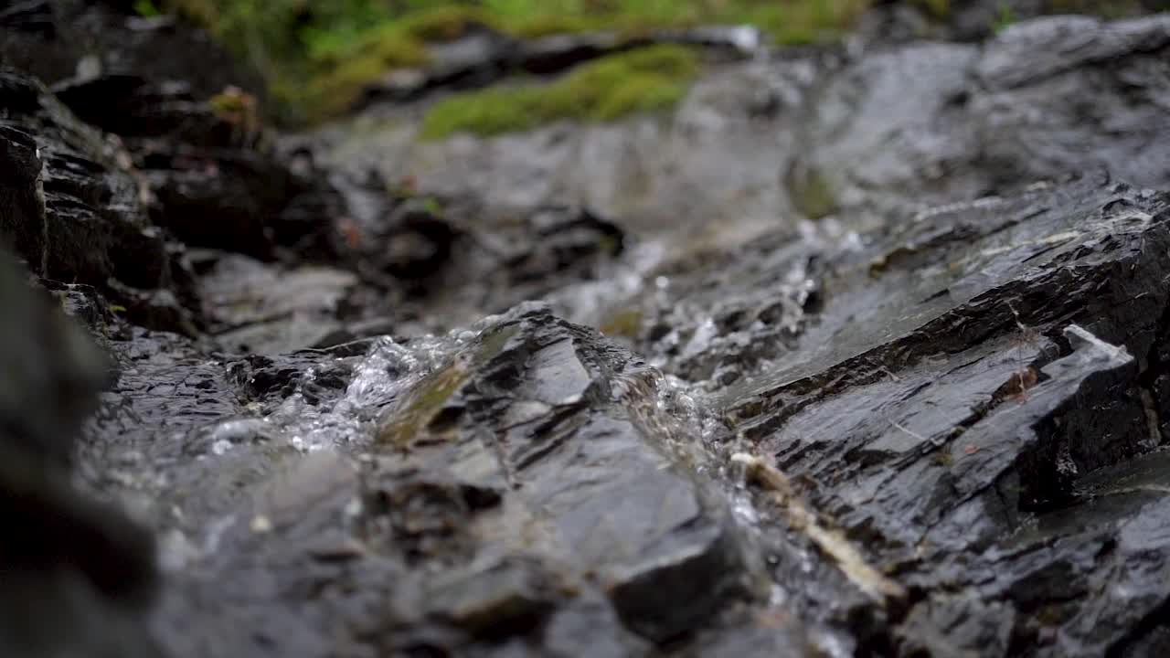 山中的小溪，水流湍急，在森林中的岩石之间流动。视频下载