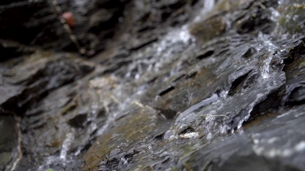 山中的小溪，水流湍急，在森林中的岩石之间流动。视频下载