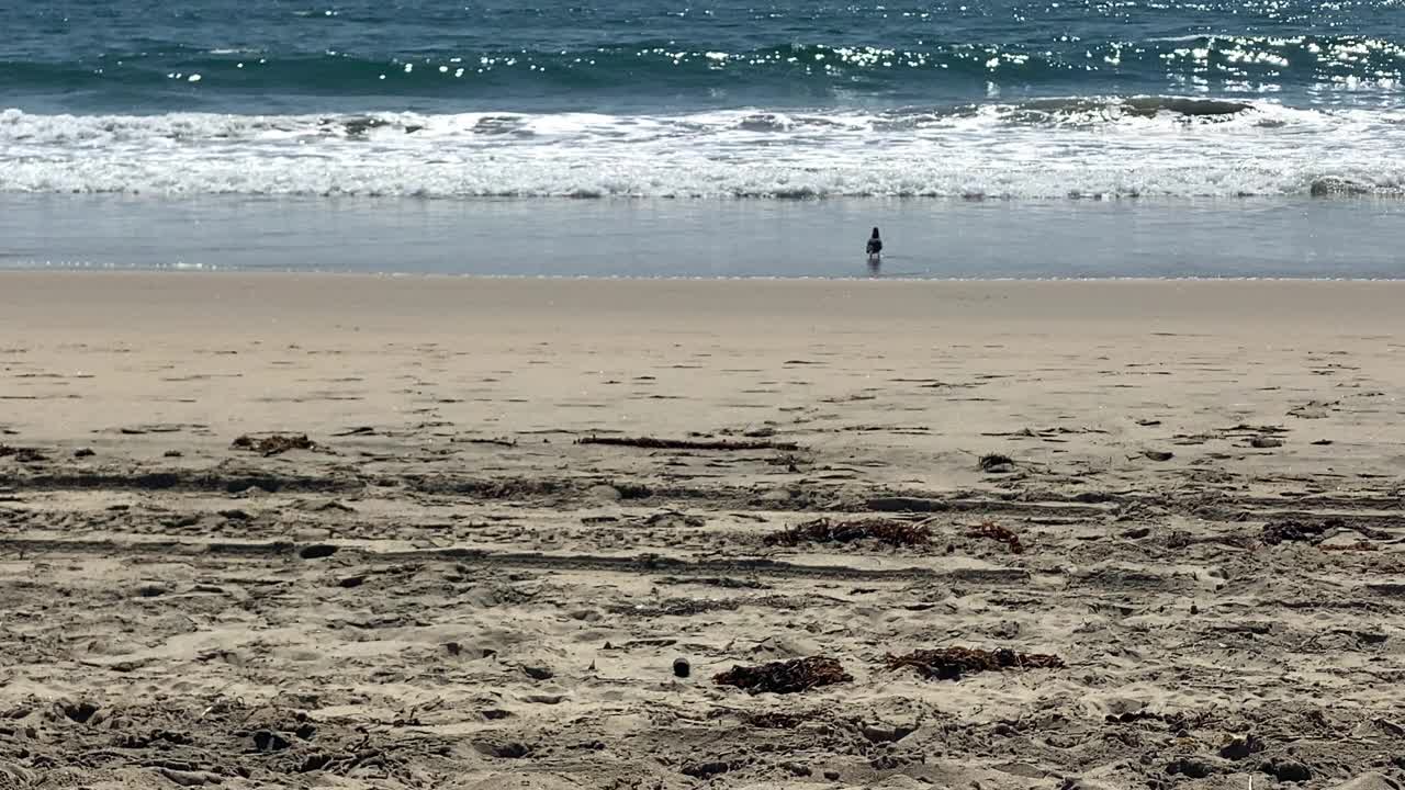 海浪冲击着海滩，远处的船只视频素材