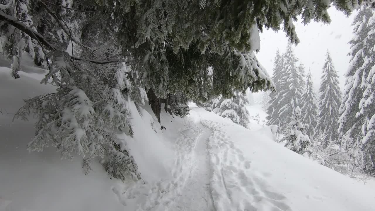 冬天的风景，白雪覆盖着树木，雪花落在山上视频素材