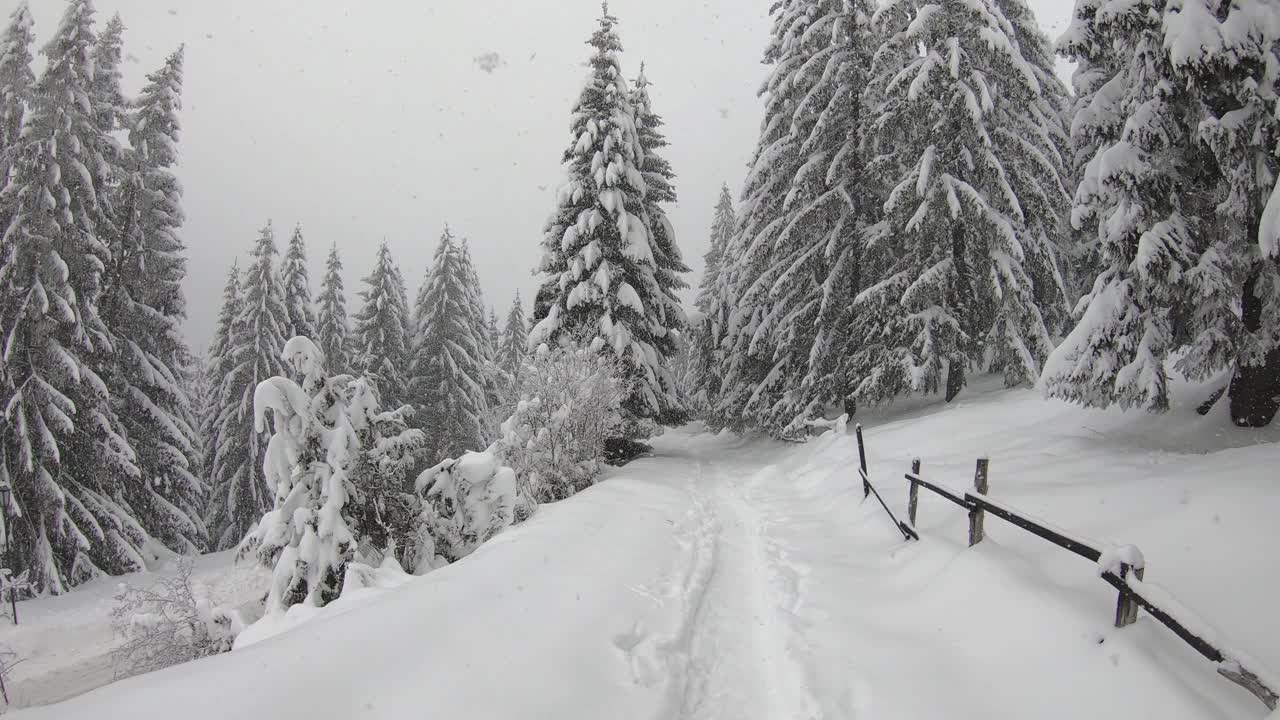 冬天的风景，白雪覆盖着树木，雪花落在山上视频素材