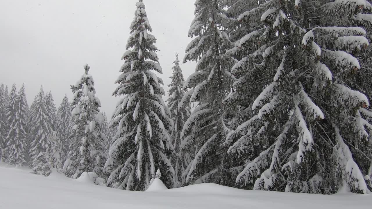 冬天的风景，白雪覆盖着树木，雪花落在山上视频素材