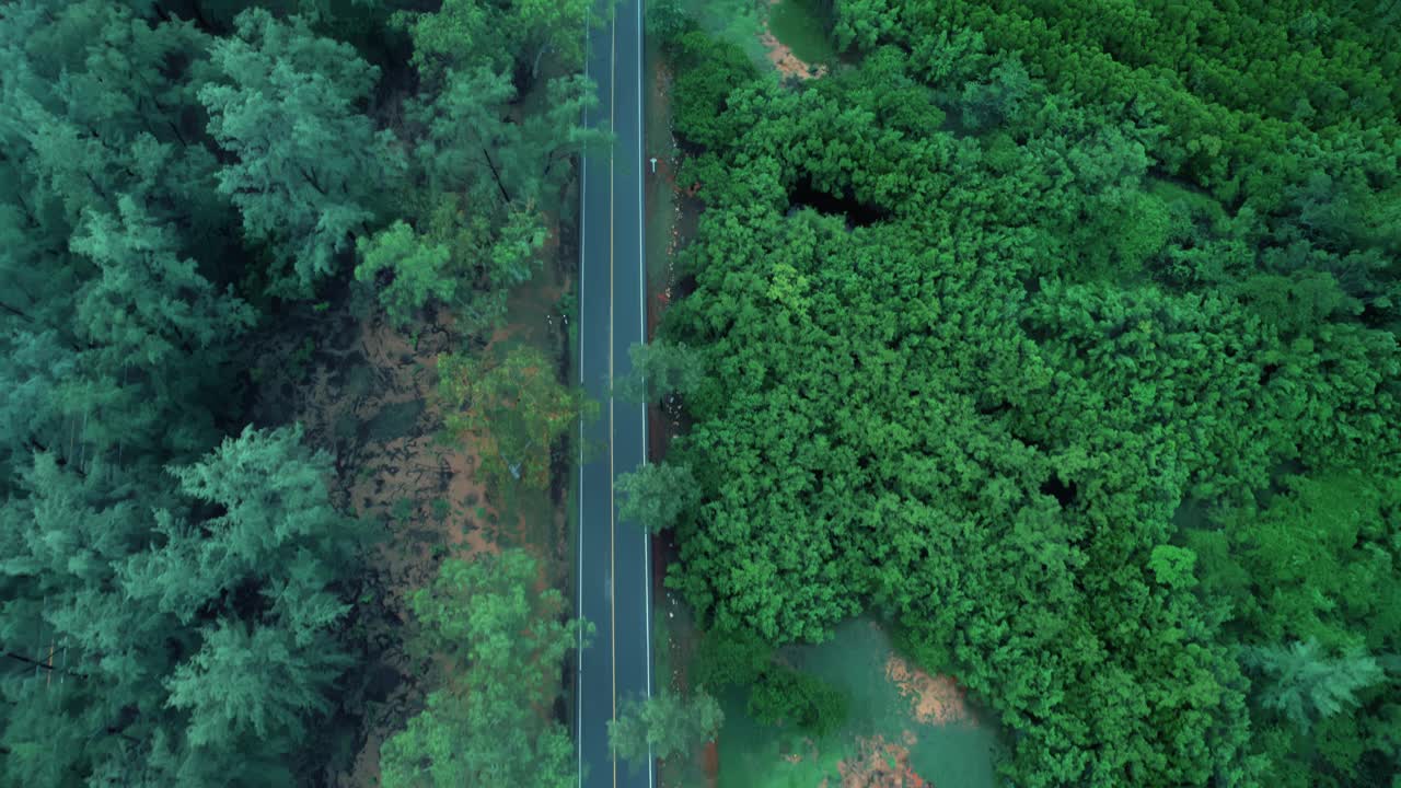 从空中俯瞰的针叶林，通过一条蜿蜒的道路在山上通过视频素材