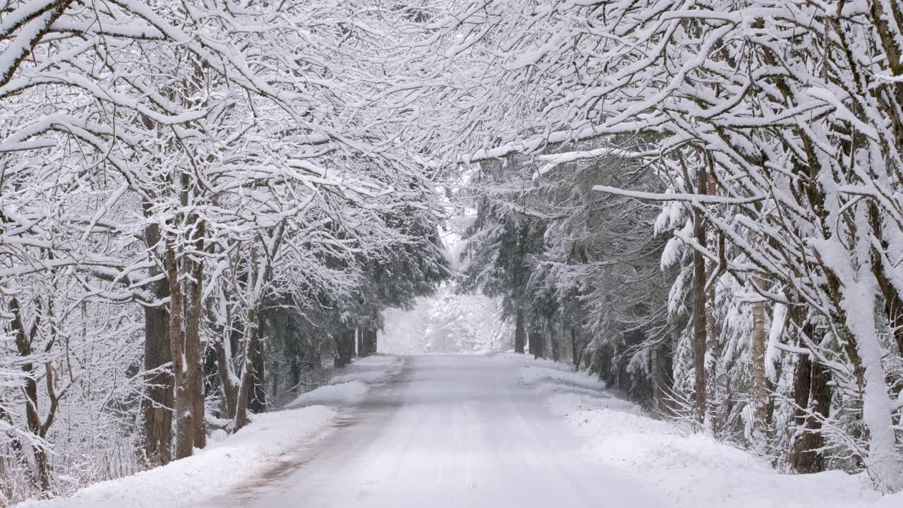 冬天的道路和树木被雪覆盖。视频素材