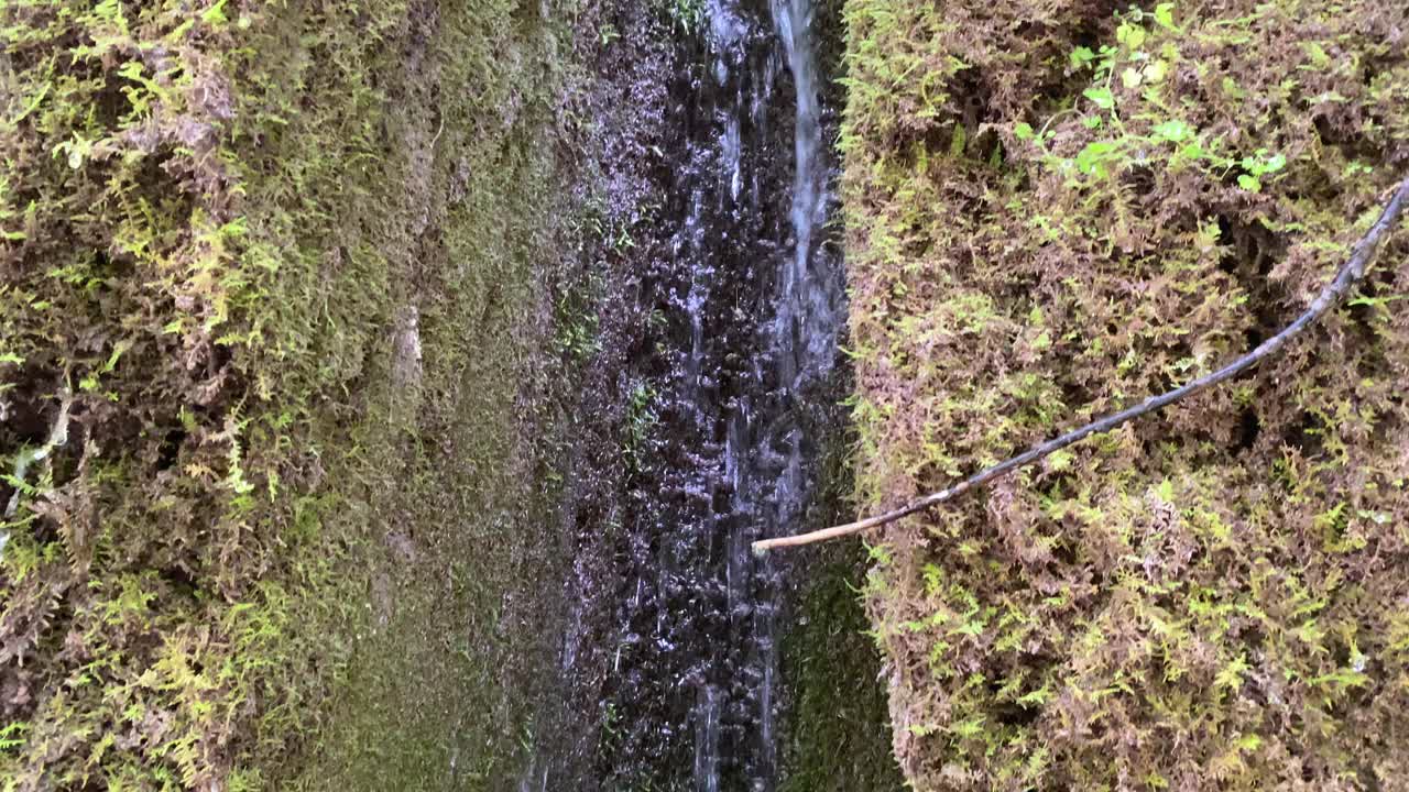 山峡瀑布里的水滴往下流，飞溅着水花。夏天视频素材