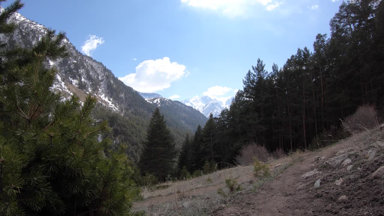 在阳光明媚的日子里，高山上有针叶林和移动的云的山脉景观的时间推移视频素材