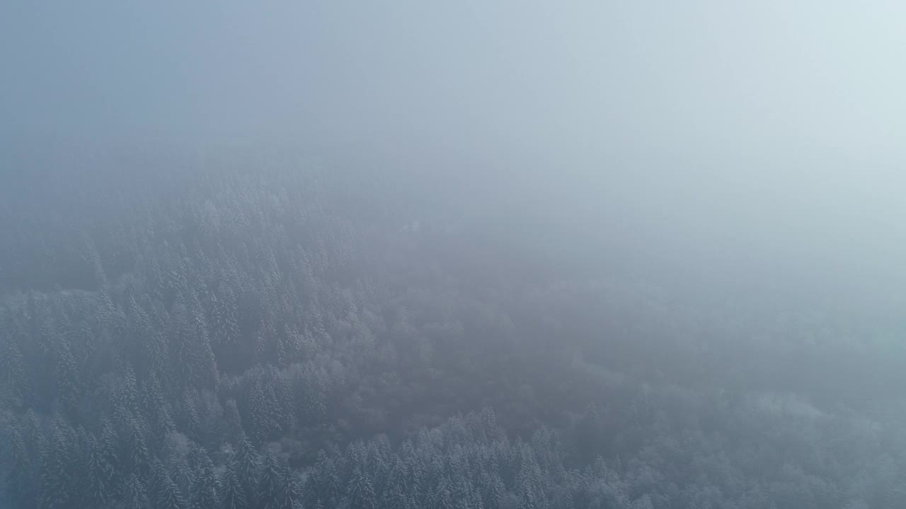 在冬天的早晨，穿过浓雾进入山谷视频素材