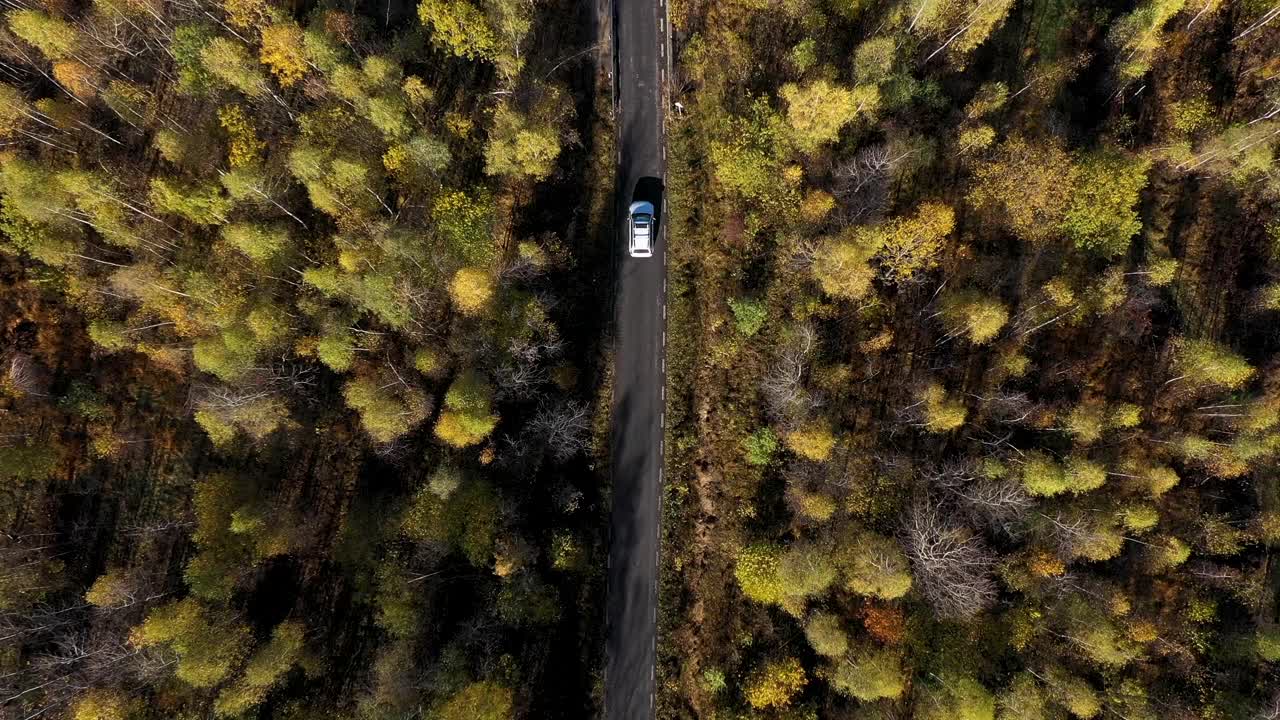 飞过一辆白色的汽车，行驶在五彩缤纷的秋天森林道路上。鸟瞰图视频素材