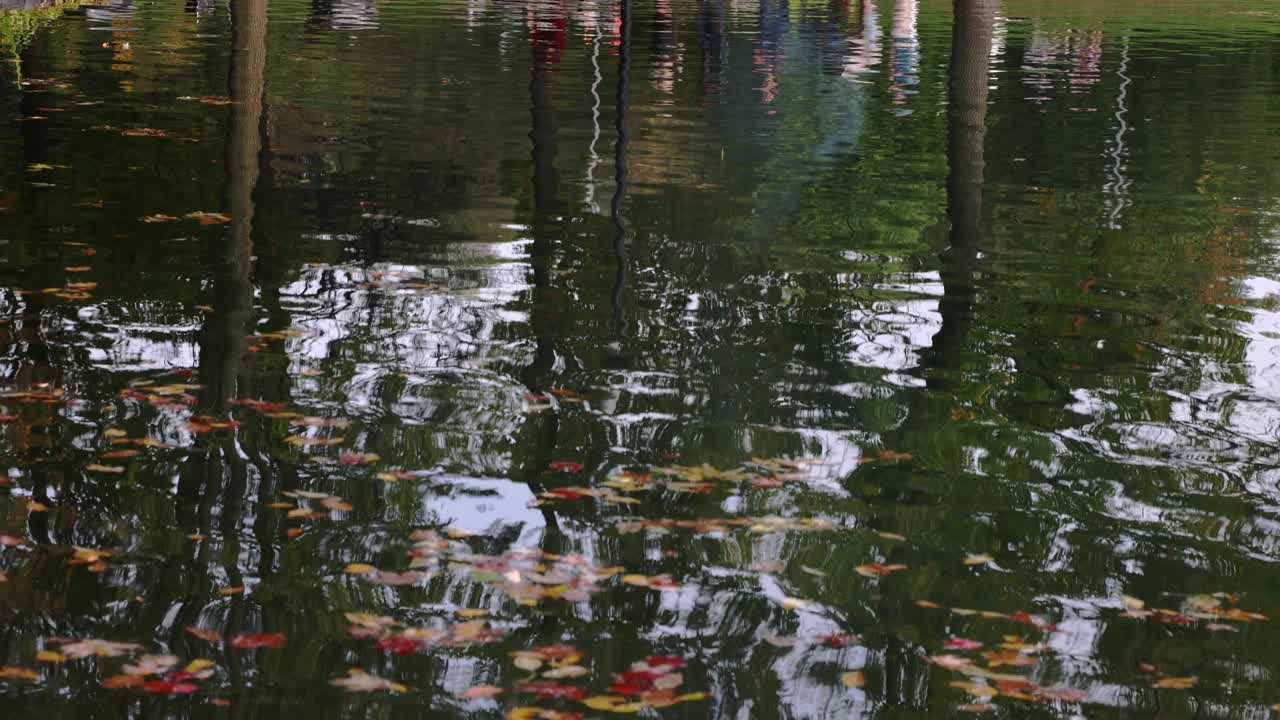 平静的水面映照着秋天公园里游客的倒影视频素材